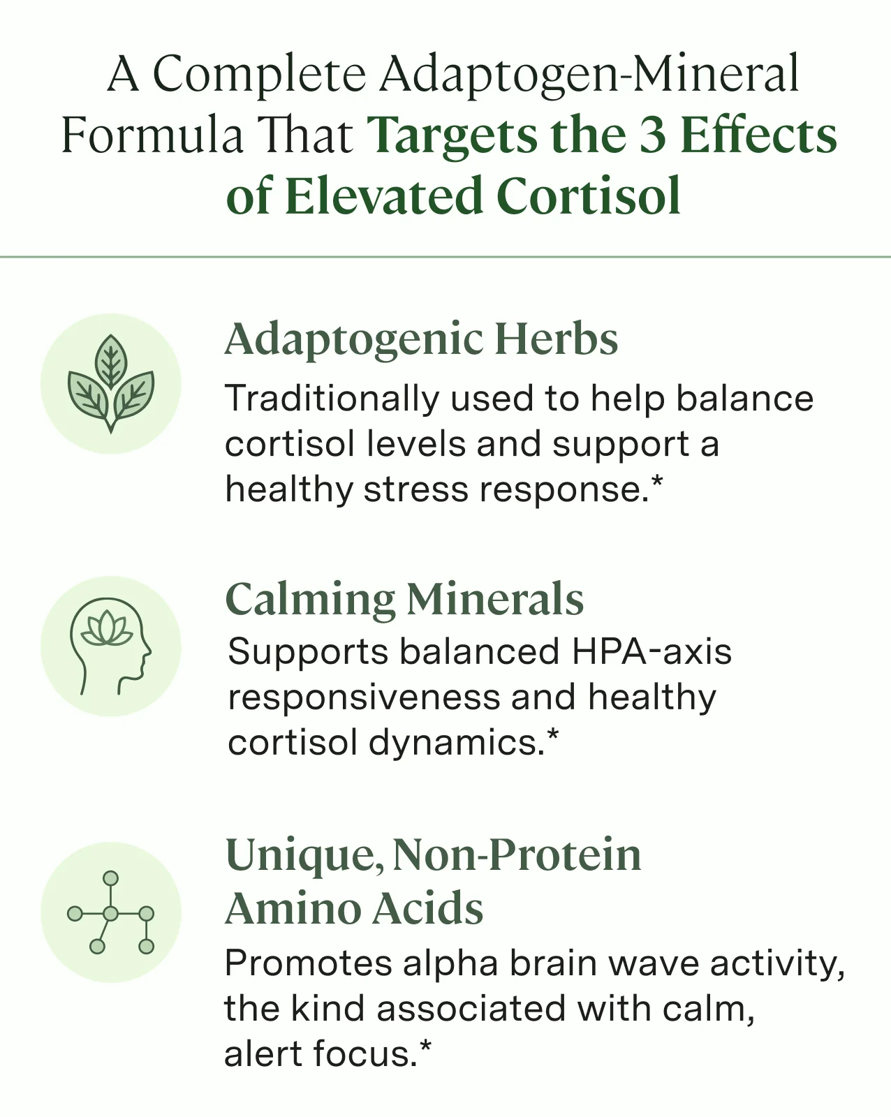 Dynamic Calm™ - Image 5